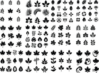 Tropical Leaves Set. Vector Illustration Collection of Tropical Leaf Silhouettes. Echotic Jungle Palm Leaves in Black Silhouette on a White Silhouettes tropical plants Tropical leaves silhouette 