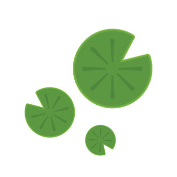 Lily pad icon. Lily cartoon vector on white background.