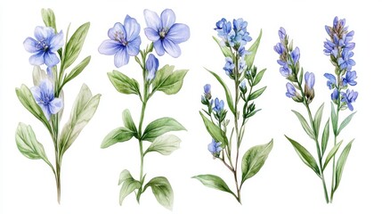 An assortment of gentle watercolor spring blossoms, isolated against a transparent background