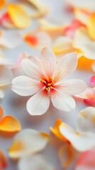 Fototapeta premium Delicate white flower surrounded by colorful petals