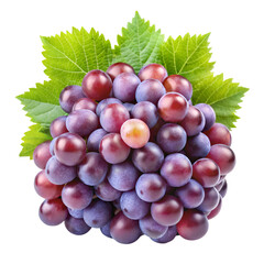 Fototapeta premium bunch of grapes
