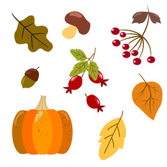 Autumn set. illustration in flat simple style. vector design element on white background. oak leaf, acorn, viburnum berries, red rose hips, yellow leaves, orange pumpkin, mushroom. 