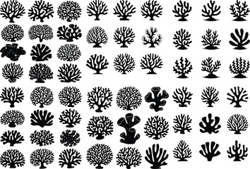 A cartoon marine floral set isolated on white background with seaweed silhouettes, coral black Seaweed silhouettes, coral black icon. Abstract organic shape, underwater plant, matisse element, set 