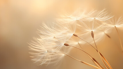 A delicate dandelion seed head dances in the breeze, its wispy, light brown seeds swirling to the right, capturing the essence of nature's gentle breath. Lightborne Essence. Illustration