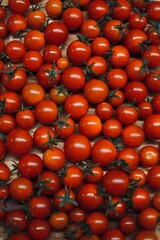 Background of red ripe tomatoes. Fresh harvest of natural vegetables grown in a greenhouse without chemicals.