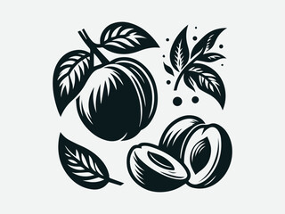 Plum Fruit Vector Logo Design Fresh Plum Logo