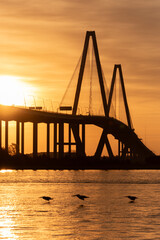 Sunrise over the Arthur Ravenel Jr. bridge in Charleston, South Carolina