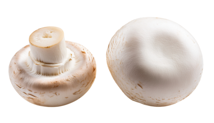 Close-up of two fresh white mushrooms against a white background