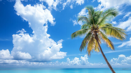 A tropical beach scene featuring a towering palm tree against a bright blue sky with fluffy white clouds, embodying the essence of summer vacations and travel