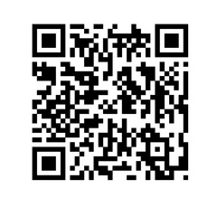 Abstract black and white QR code pattern with geometric grid for tech and security concepts