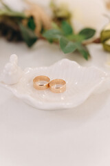 wedding rings on a white background