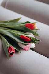 bouquet of tulips