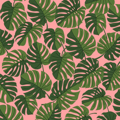Tropical Monstera Leaf Pink Background Pattern.