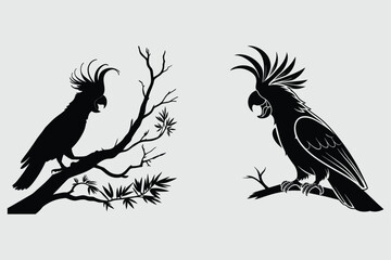 a cockatoo with its crest raised in excitement silhouette vector design art and illustration