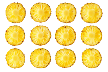 Twelve Ripe Pineapple Slices on Transparent Background, PNG