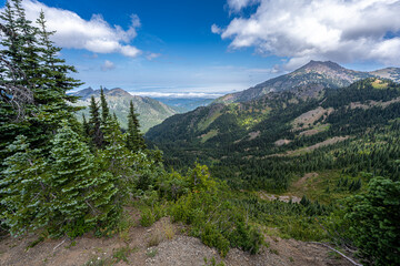 View from the Hurricane Ridge, Olympic National Park, WA
