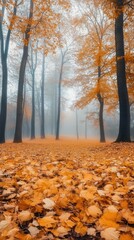 Obraz premium A misty forest covered in abundant yellow foliage