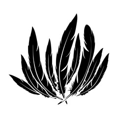 Black Feather Illustration - Graphic Design Element