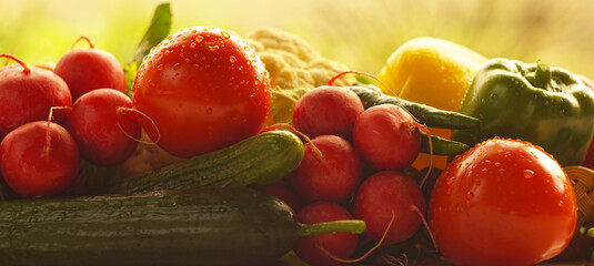 tomatoes, cucumbers, various vegetables on the table