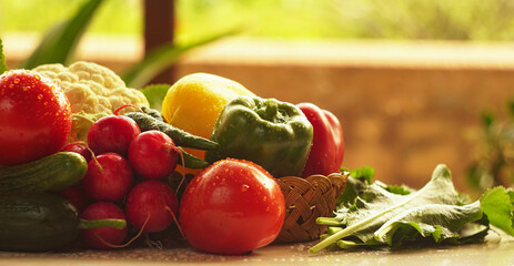 tomatoes, cucumbers, various vegetables on the table