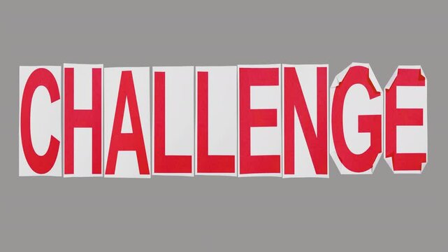 Challenge On Alpha 