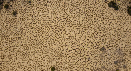 Dried Earth Texture with Cracks in Arid Land Depicting Climate Change Impact
