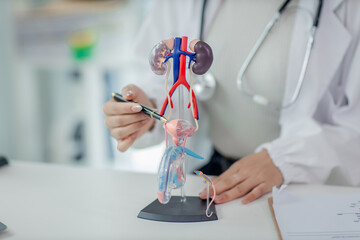 Find a fragrant, check health and consult a sexual performance doctor.