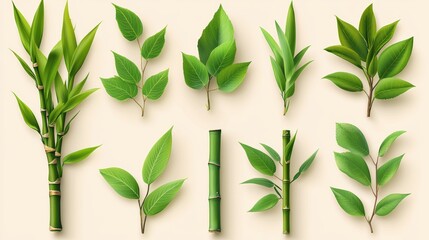 Fototapeta premium A group of bamboo stalks standing alone on a clear background, created by modern