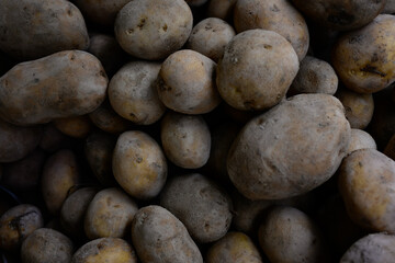 Pile of raw dirty potatoes at market
Close-up view of unwashed, earthy potatoes stacked together in...
