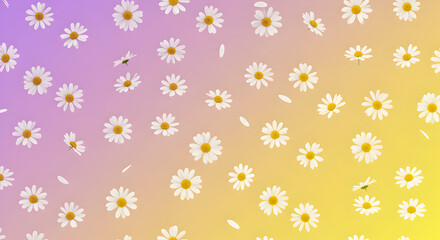 Daisy blossoms on a gradient backdrop evoking cheerfulness and tranquility