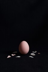Minimal Easter Still Life with Pink Egg and Petals on Dark Background