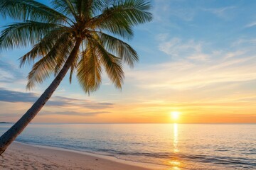 Fototapeta premium Palm tree is standing on a beach with the sun setting in the background