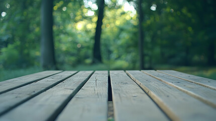 Fototapeta premium Wooden Picnic Table in a Forest