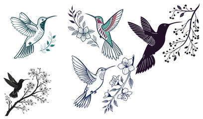 Hummingbird, Wreath with peony, Flying bird, vector illustration set