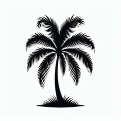Fototapeta premium Silhouette of a Tropical Palm Tree