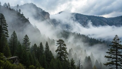 Fototapeta premium Dramatic mountain scenery in the dense fog, presenting a majestic, natural landscape