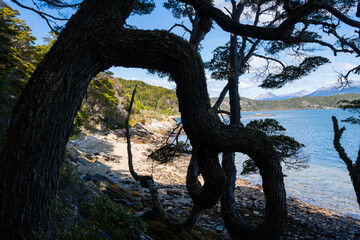 Terre de Feu, Ushuaia, Argentine 