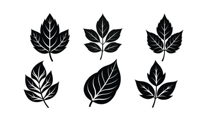Fototapeta premium set of leaves vector