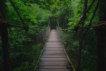 Wooden hanging rope bridge in lush green forest