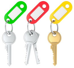 Keys with Plastic Key Tags with empty labels, 3D rendering isolated on transparent background