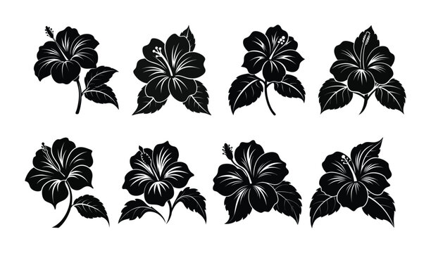 Silhouette joba  flower vector isolated white background set