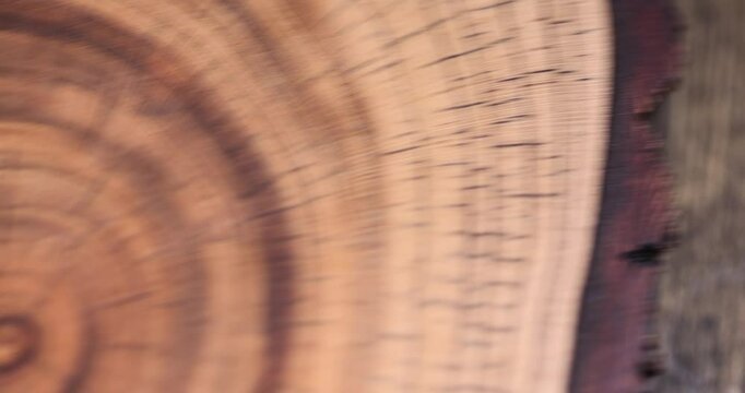 rings of a walnut trunk polished for the manufacture of interior details, processed beautiful walnut wood used for the manufacture of objects close up