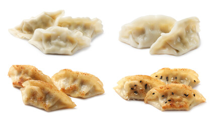 Tasty gyoza (dumplings) on white background, collage