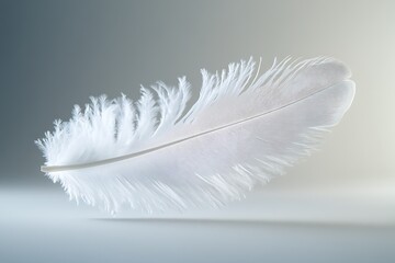 Obraz premium A single white feather floating gracefully in midair, symbolizing purity and new beginnings, ultra-realistic, isolated.