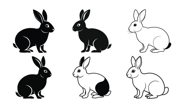 vector illustration of a rabbit set