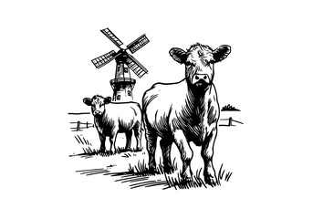 Angus cattle hand drawn sketch vector illustration © Shutoda