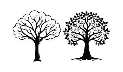 Obraz premium tree with roots set