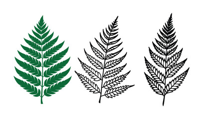 Fototapeta premium set of leaves