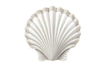 seashell isolated on transparent png background