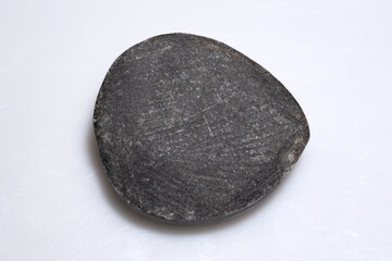 Natural Dark Fossilized Trilobite Specimen Oval Shaped Stone on White Background
